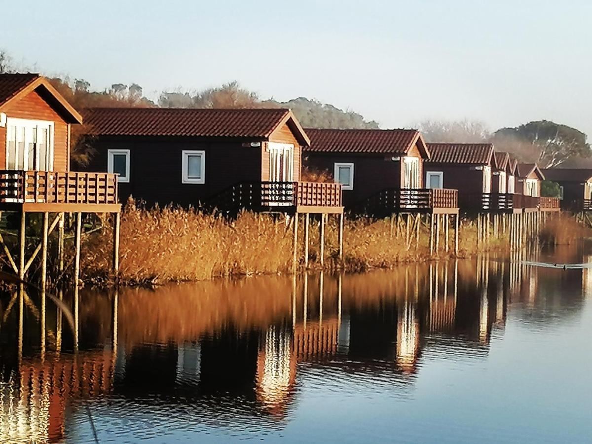 Barrinha_Village Praia de Mira Dış mekan fotoğraf