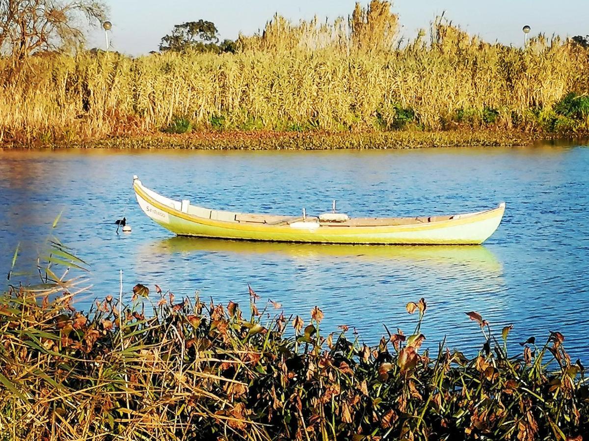 Barrinha_Village Praia de Mira Dış mekan fotoğraf